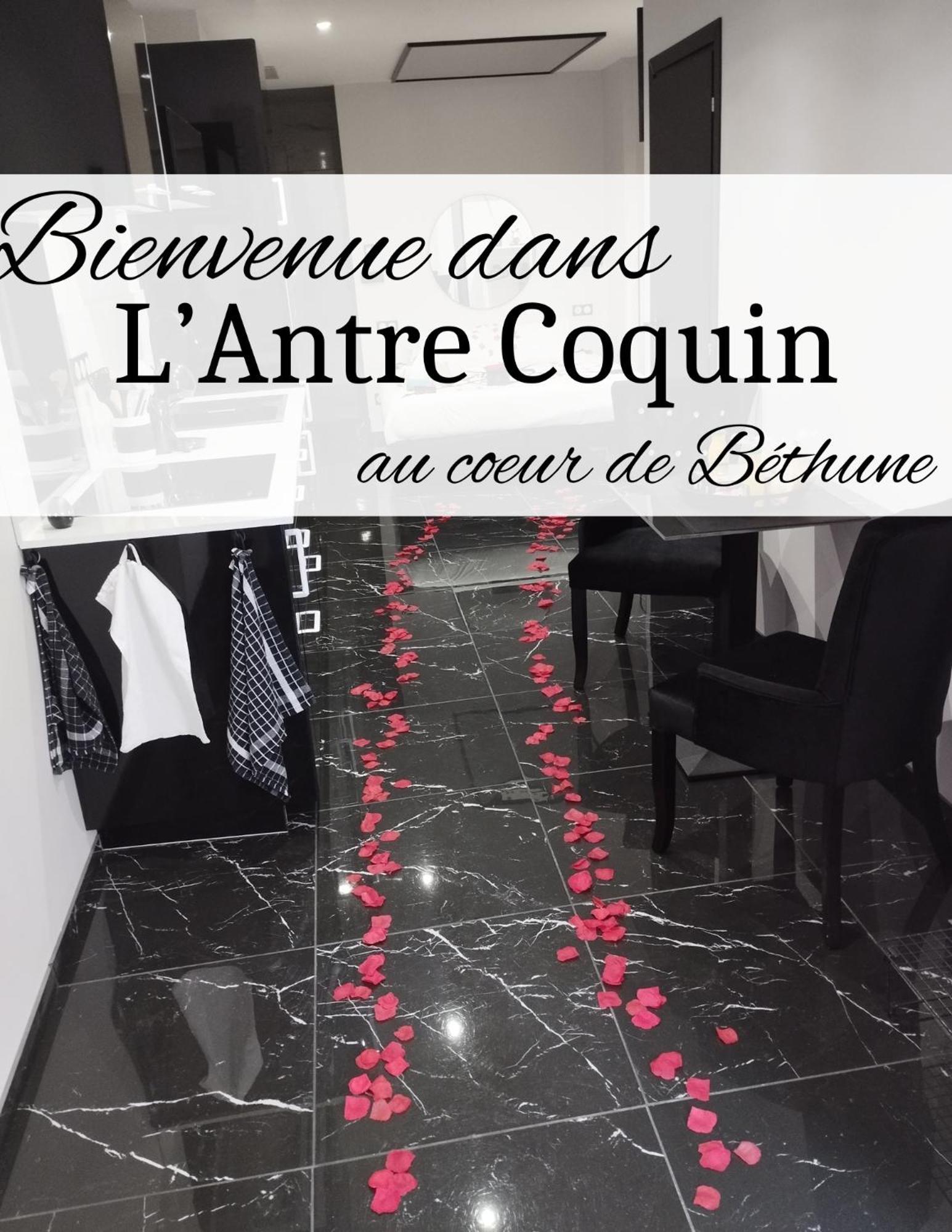 Appartement L'Antre Coquin à Béthune Extérieur photo